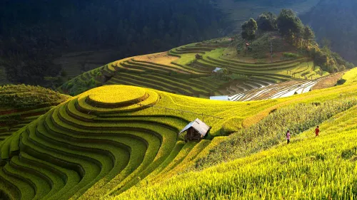 Vertikale Landwirtschaft in Singapur