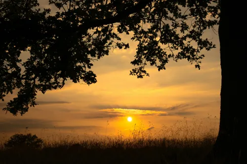 Traumauto im Sonnenuntergang