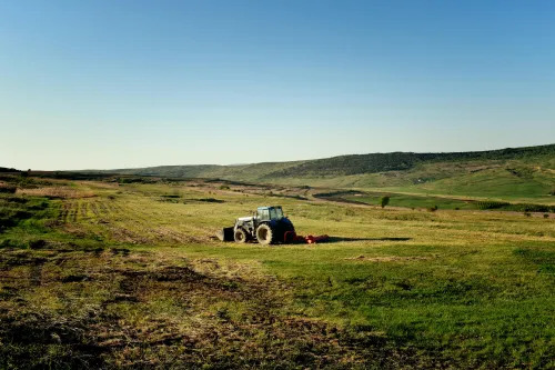 Historisches Bild von landwirtschaftlichen Tätigkeiten