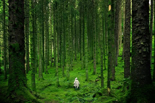 Person genießt Natur