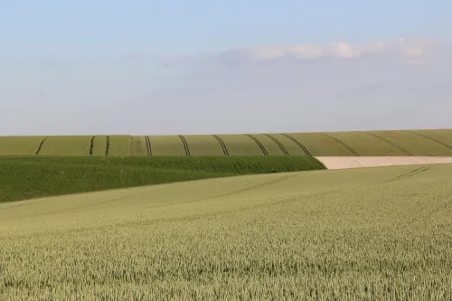 Landwirtschaftliche Flächen