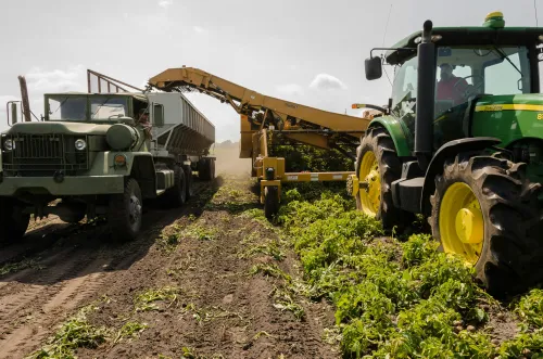 Landwirtschaftliche Ernte-1