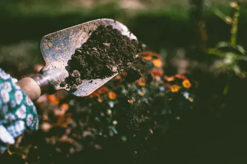 Mit Gartenarbeit sparen: Dein Ratgeber für ökonomisches Gärtnern