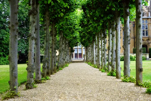 Vorteile des Sparens durch Gartenarbeit